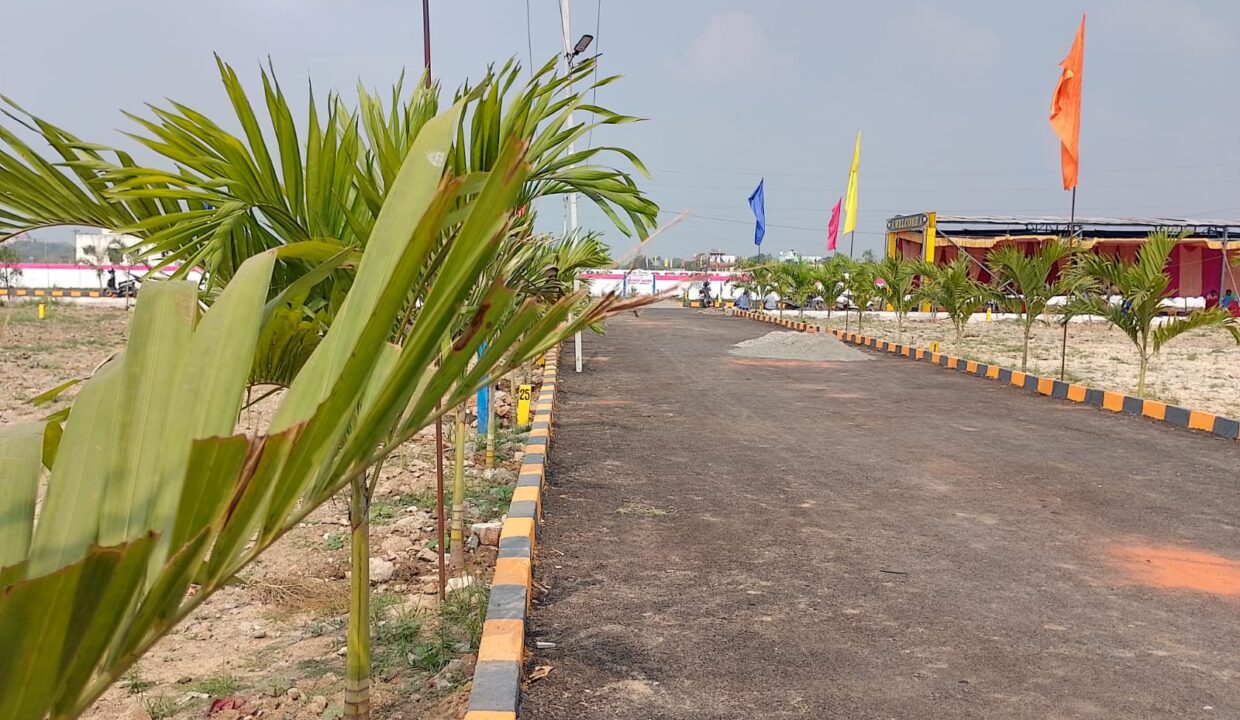 WhatsApp Image 2023-04-03 at 3.38.59 PM (1)