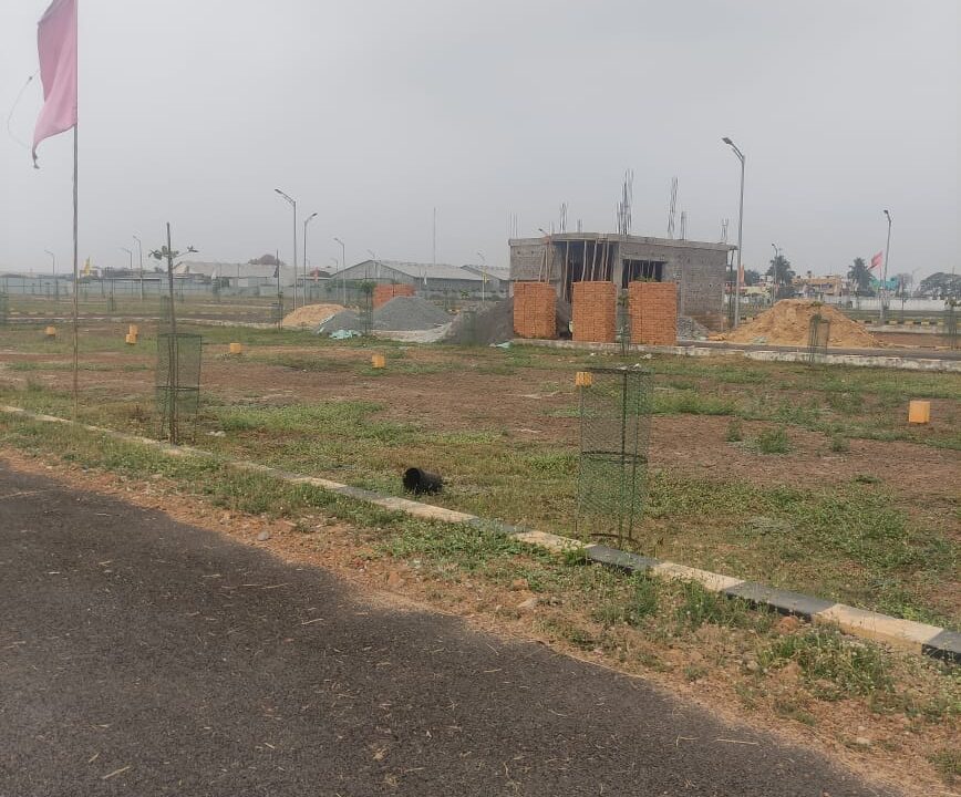 WhatsApp Image 2021-04-03 at 21.11.50