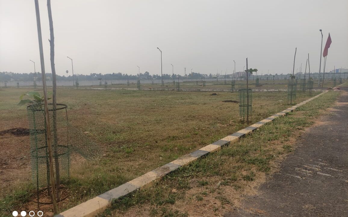 WhatsApp Image 2021-04-03 at 21.11.51