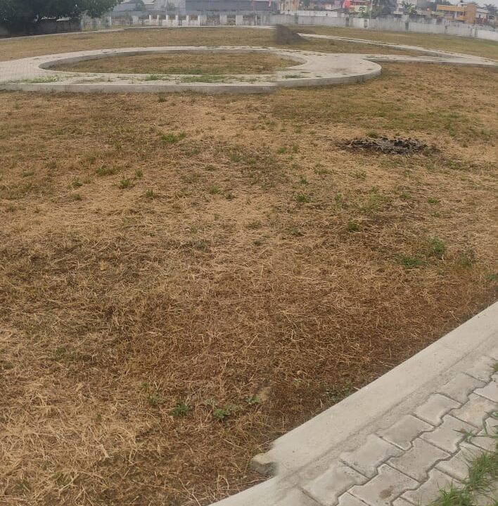 WhatsApp Image 2021-04-03 at 21.11.51 (2)